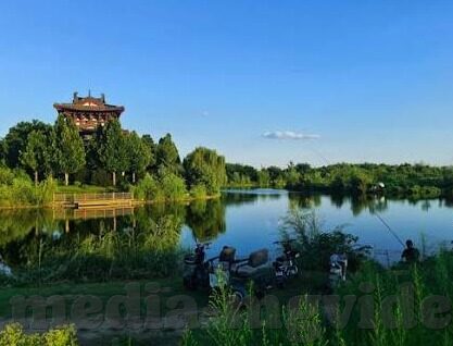 91麻豆蜜桃-寻找91麻豆蜜桃下的温暖，探索网络文化的多元面貌